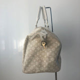 LOUIS VUITTON Speedy 30 Monogram Mini Lin