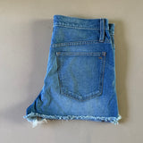 MADEWELL Denim Shorts