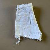 ZARA Denim Shorts